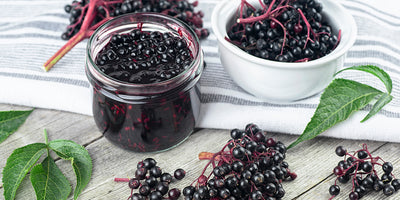 Black Elderberry: The Superfood Secret for Gut Health and Immunity