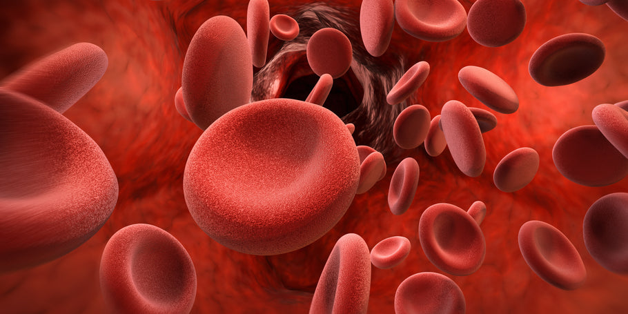 Hydrating Hemoglobin: Boosting Blood Cell Health with Hydrate Supplements